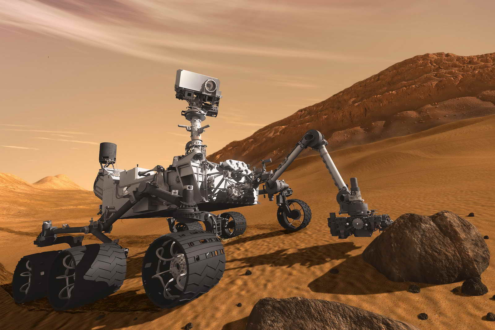Rover.png